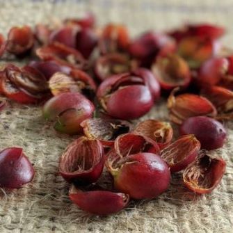 Kávékalmár webáruház