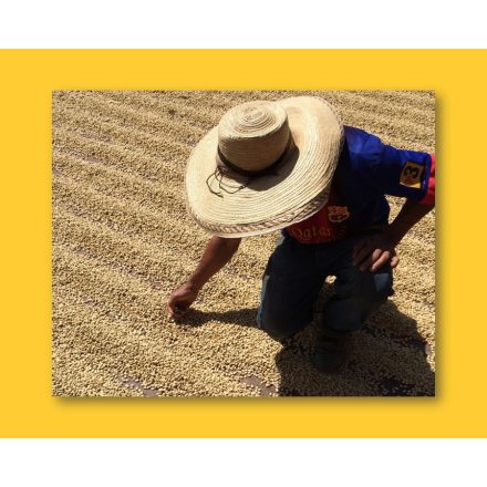 Colombia Finca El Libano