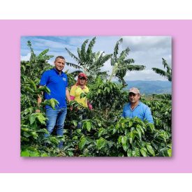 Colombia Finca El Recreo - zöld kávé