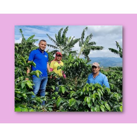 Colombia Finca El Recreo - zöld kávé