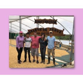 Costa Rica Corazon de Jesus - zöld kávé