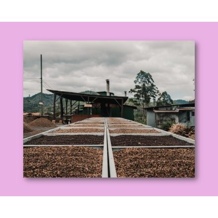 Costa Rica Finca La Pacaya
