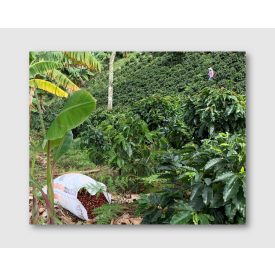 Colombia Antioquia
