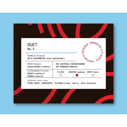 DUET No 3