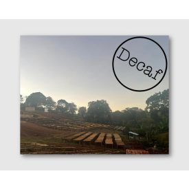 Burundi Ngozi Decaf