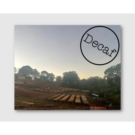 Burundi Ngozi Decaf