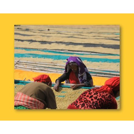 Ethiopia Chelbesa - zöld kávé