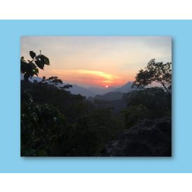 Guatemala Huehuetenango - zöld kávé