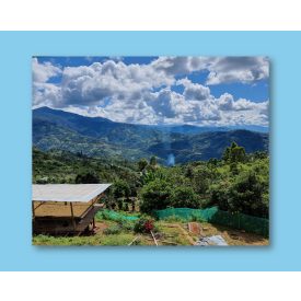 Peru La Coipa - zöld kávé