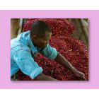 Rwanda Humure