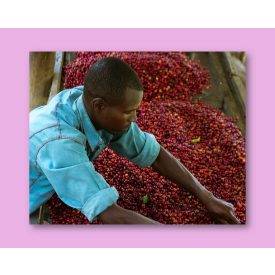 Rwanda Humure