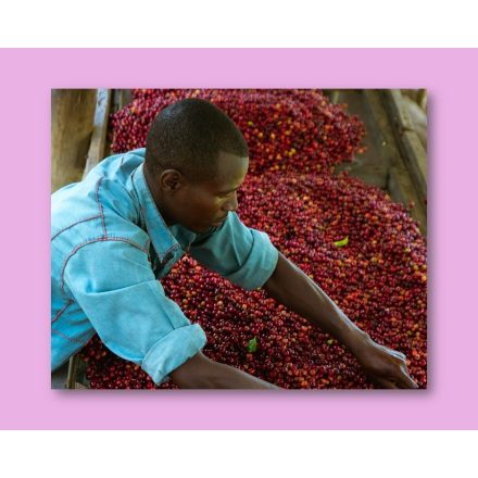 Rwanda Humure